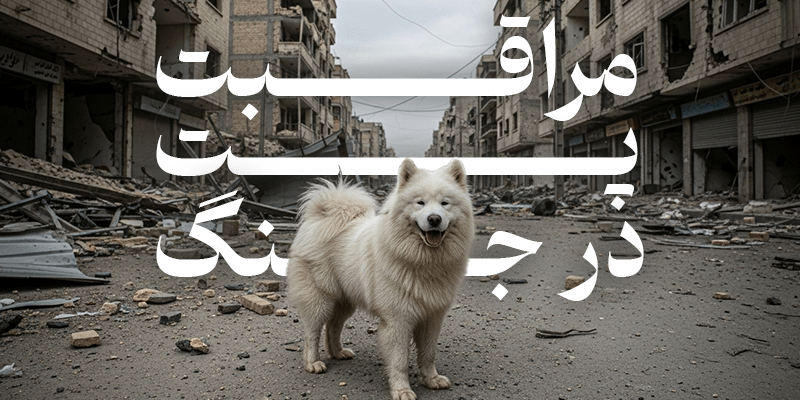 مراقبت از پت‌ها در زمان جنگ