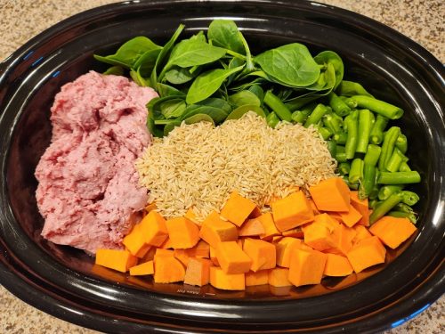 بالاخره، غذای خشک بهتره یا غذای خونگی؟